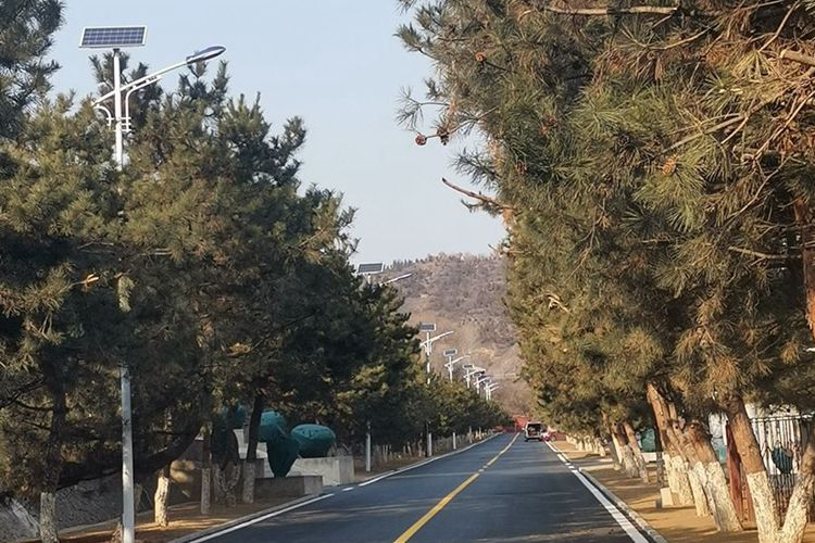 北京某學院景觀  庭院燈案例